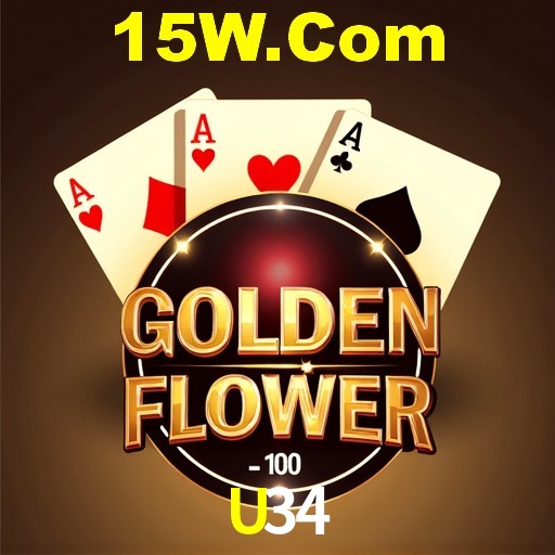 Interface Premium U34