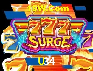Secure Login U34